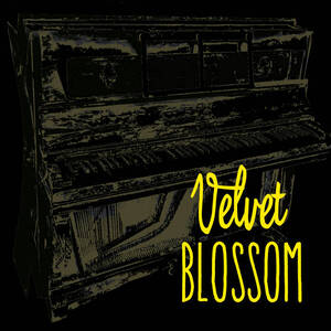 couverture album Velvet Blossom